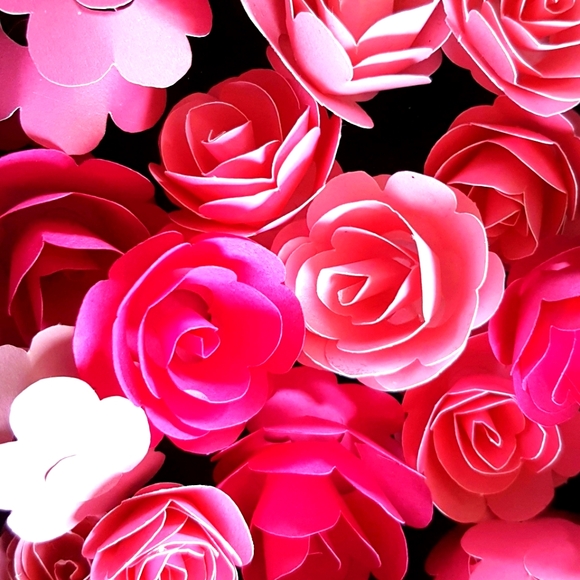 Meet Your Posher, Bella Chantelle - Picture 1 of 1